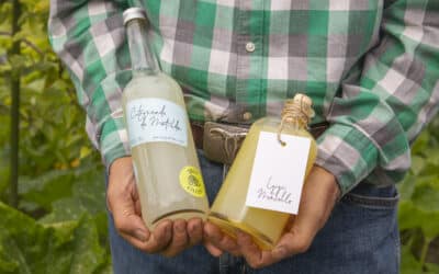 Luigi di Moncello : le limoncello artisanal made in Geneva qui sublime le citron italien